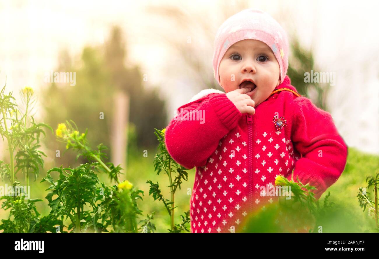 Ein süßes kleines Mädchen in einem pinkfarbenen Outfit im Blumenfeld im Park voller gelber Blumen im Frühjahr. Stockfoto