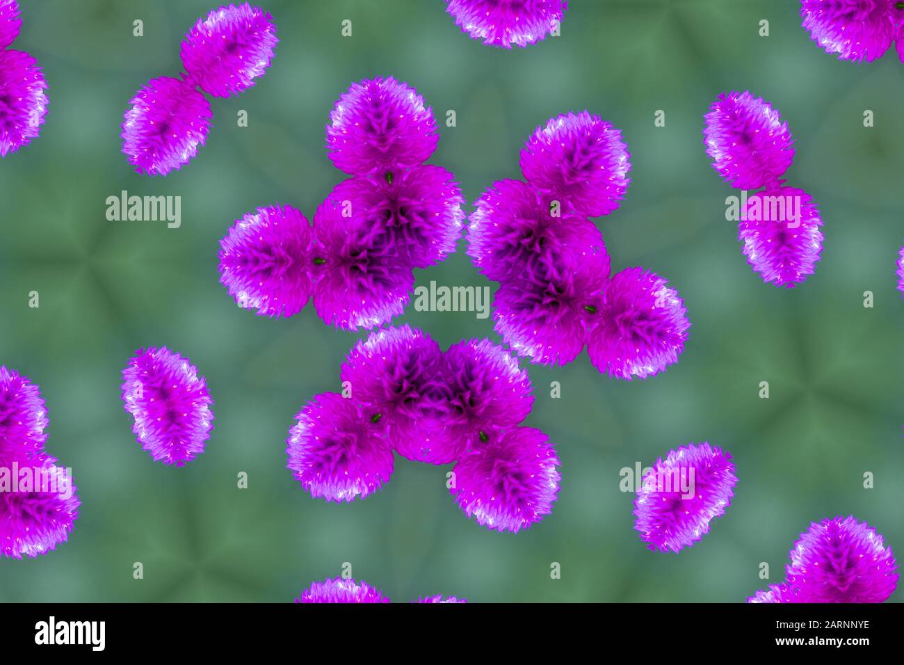 Das Bild des Imagine Purple Virus auf grünem Hintergrund Stockfoto