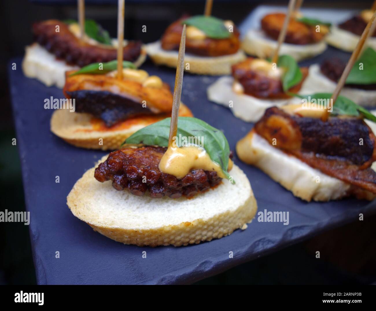 Kleine Octopus-Vorspeise/Snack "Panish Tapas" auf Geschnittenem Weißbrot im Buffet im Azul Beach Resort Hotel, Puerto Morelos, Cancun, Mexiko. Stockfoto