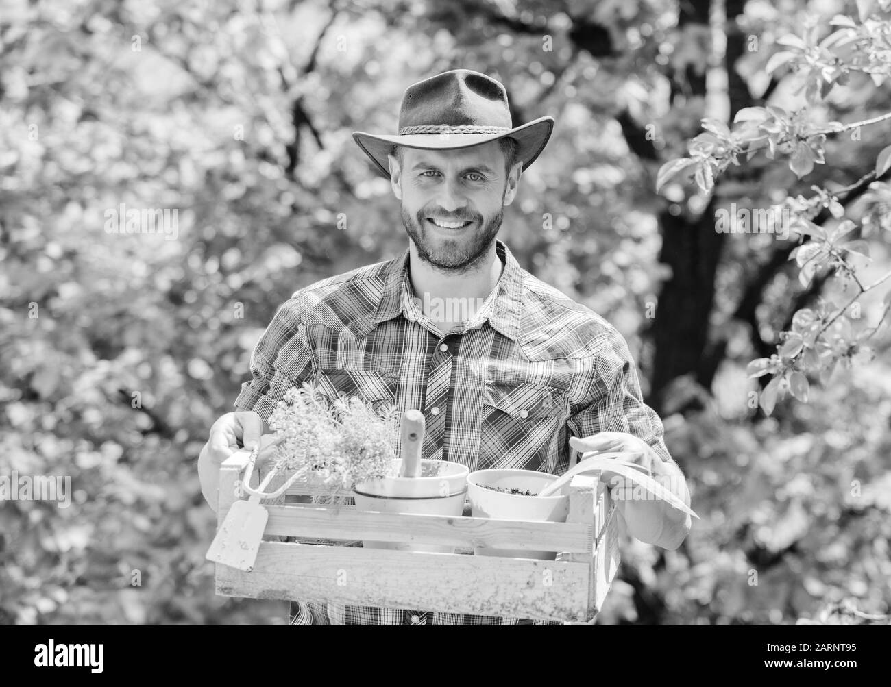 Garten Tipps von Experten. Pflege des Gartens. Reifen Landwirt mann Pflanzen Pflanzen. Pflanzzeit. Bärtige Gärtner Kerl halten Box mit Blumentopf und Hacke Gartengeräte. Gartenbau Beratung von Professionellen. Stockfoto