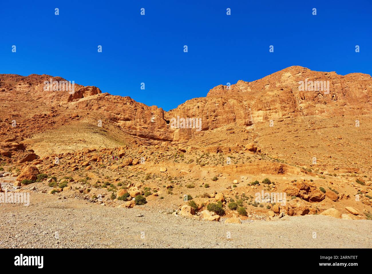 Todgha-Schlucht oder Gorges du Toudra ist ein Canyon im Hohen Atlas-Gebirge in der Nähe der Stadt Tinerhir, Marokko Stockfoto