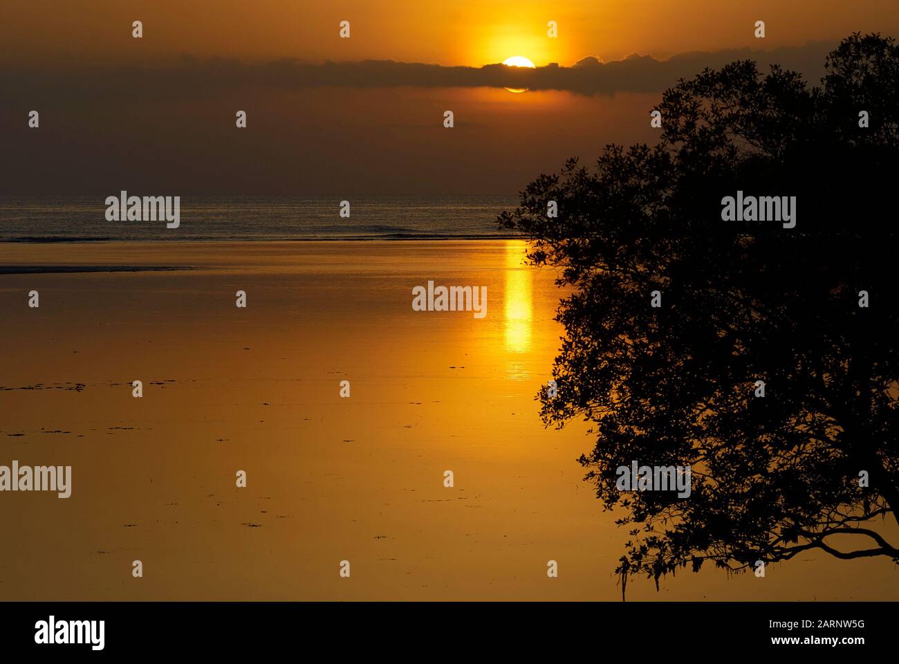 Goldener Sonnenaufgang im glasigen, ruhigen Indischen Ozean (Tansania) Stockfoto