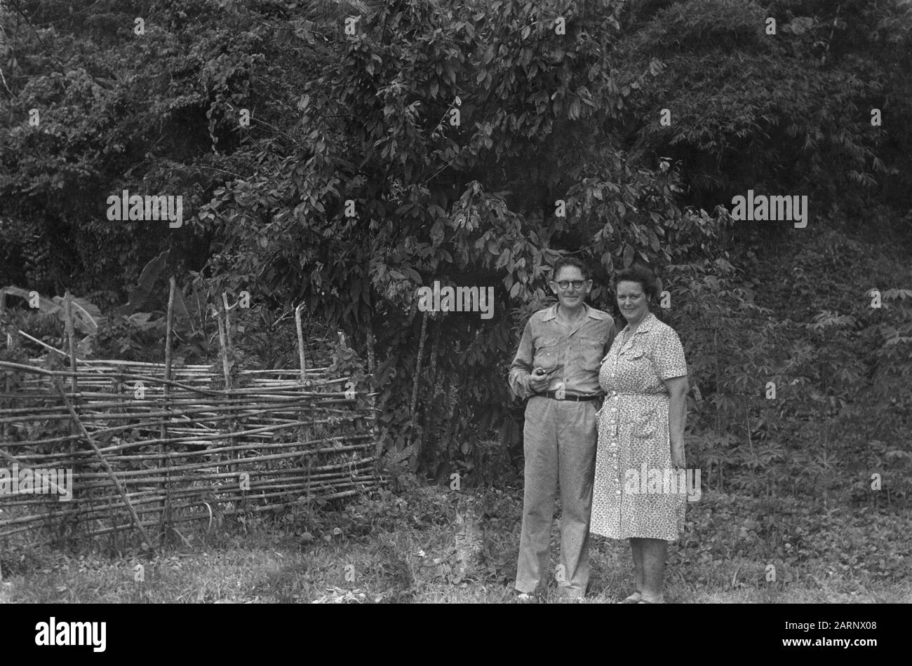 Neuguinea-Serie Jungle Reverend J, Eygendaal mit seiner Frau für einen Kakaobusch in ihrem Garten auf Miei, dass wie ein Sandkorn am Fuß eines riesigen, grünen Bergenklomps Datum: Oktober 1948 Ort: Indonesien, Niederländische Ostindien Stockfoto