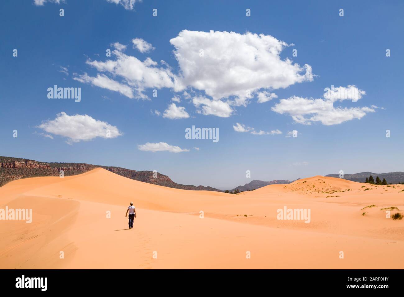 Junge Frau, die allein in einer Wüstenlandschaft wandert, Coral Pink Sand Dunes State Park, Utah, USA Stockfoto
