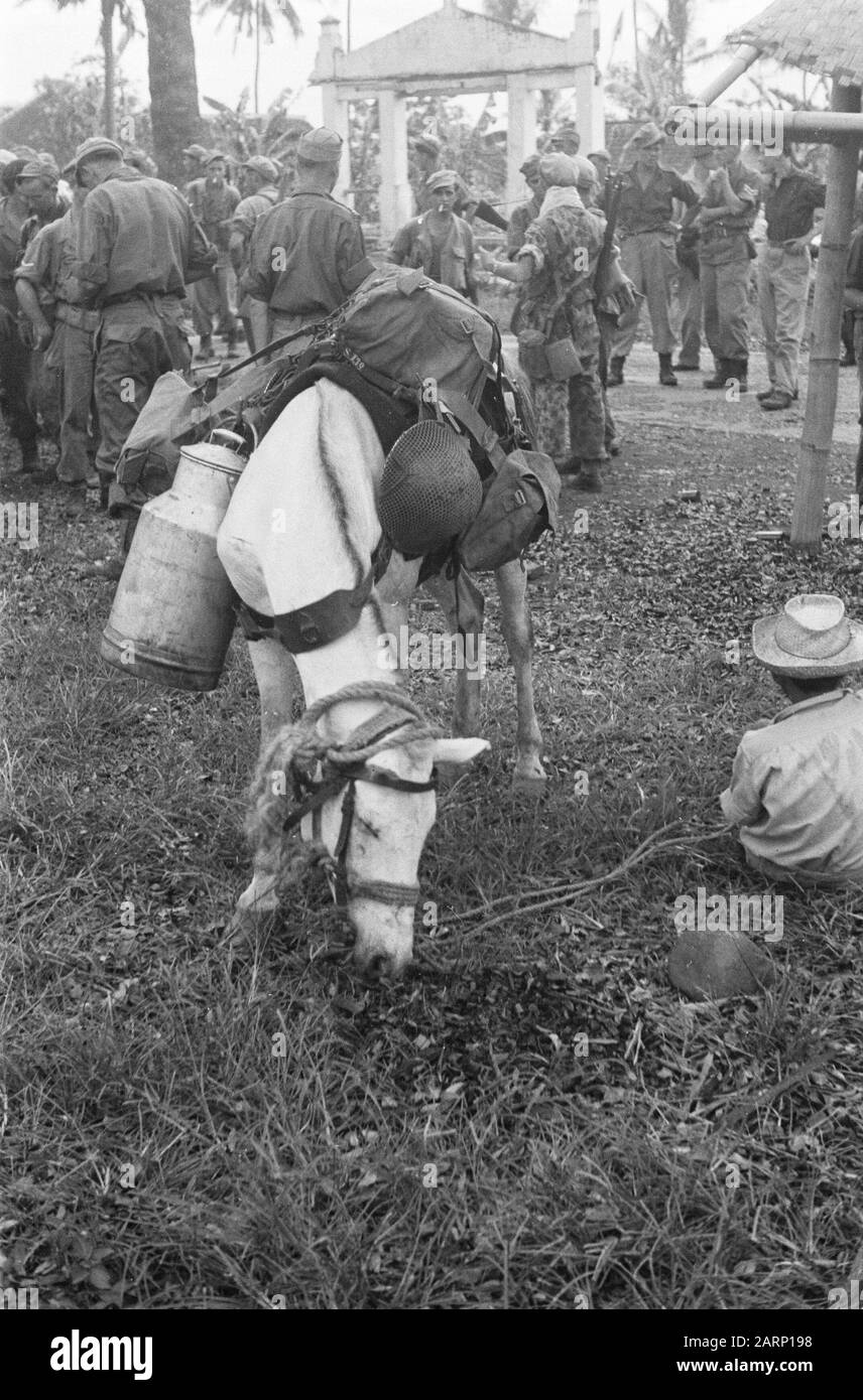 Republik: Wanaradja, (?) , Garut, Chibatoe Wanaredja. Das 3. Regiment der Stoßtrupps führte eine Reinigungsaktion in der Nähe von Wanaradja durch. Weidepferd mit Ladedatum: 5. November 1947 Ort: Indonesien, Java, Niederländisch-Ostindien Stockfoto Republik: Wanaradja, (?) , Garut, Chibatoe Wanaredja. Das 3. Regiment der Stoßtrupps führte eine Reinigungsaktion in der Nähe von Wanaradja durch. Weidepferd mit Ladedatum: 5. November 1947 Ort: Indonesien, Java, Niederländisch-Ostindien Stockfoto