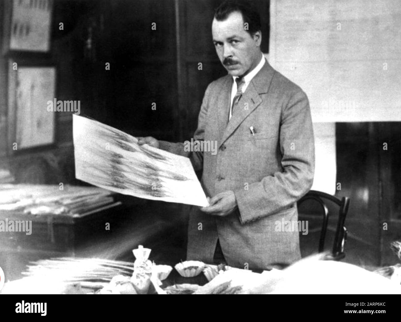 Nikolai VAVILOV (1887-1943) russischer und sowjetischen Agronom, Botaniker und Genetiker, der im Jahr 1930 Weizenproben untersuchte Stockfoto