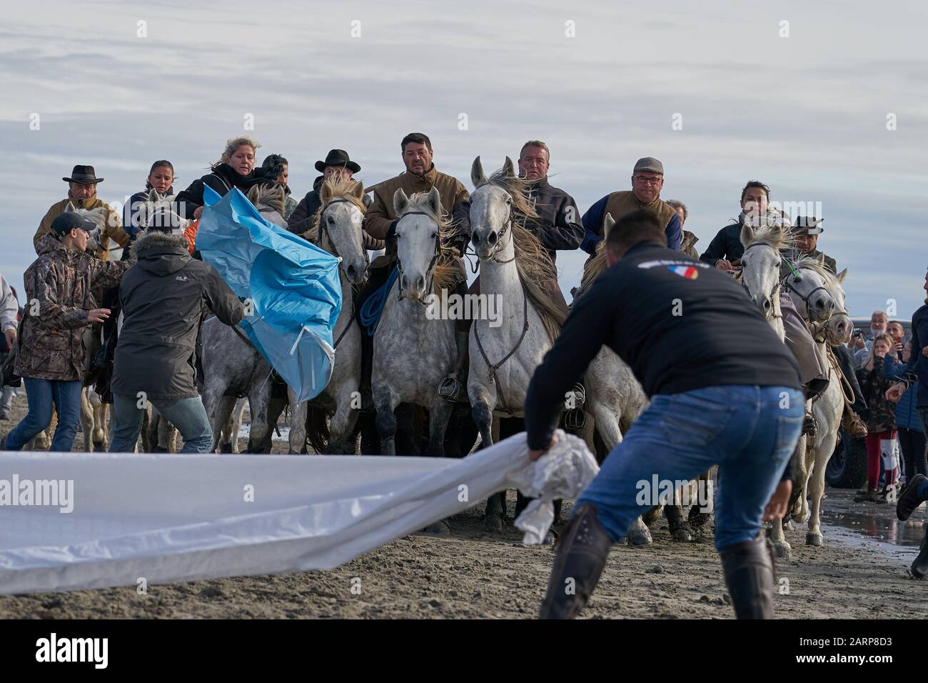 Running of the Bulls on the Beach Saintes marie de la mer Stockfoto
