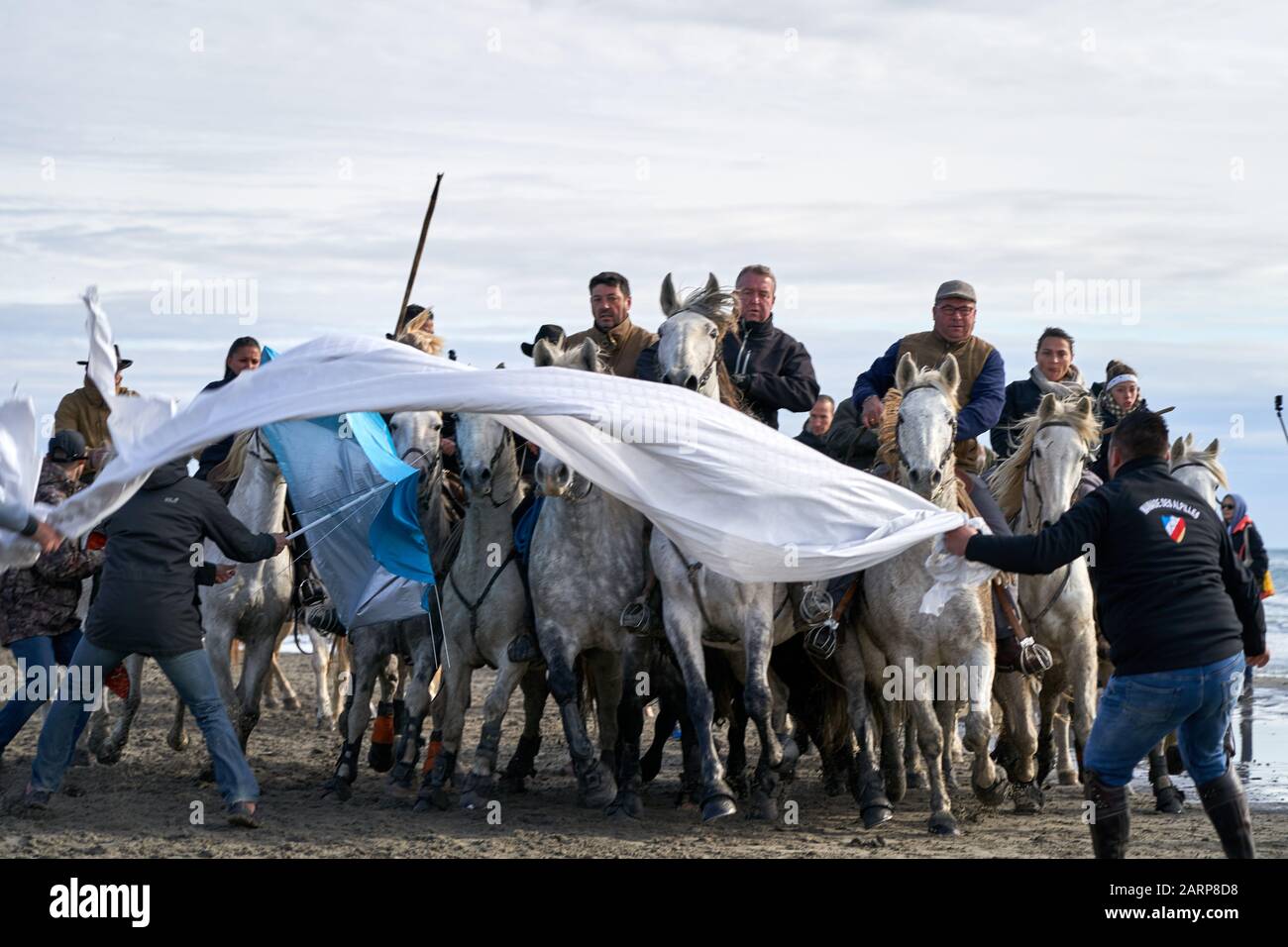 Running of the Bulls on the Beach Saintes marie de la mer Stockfoto