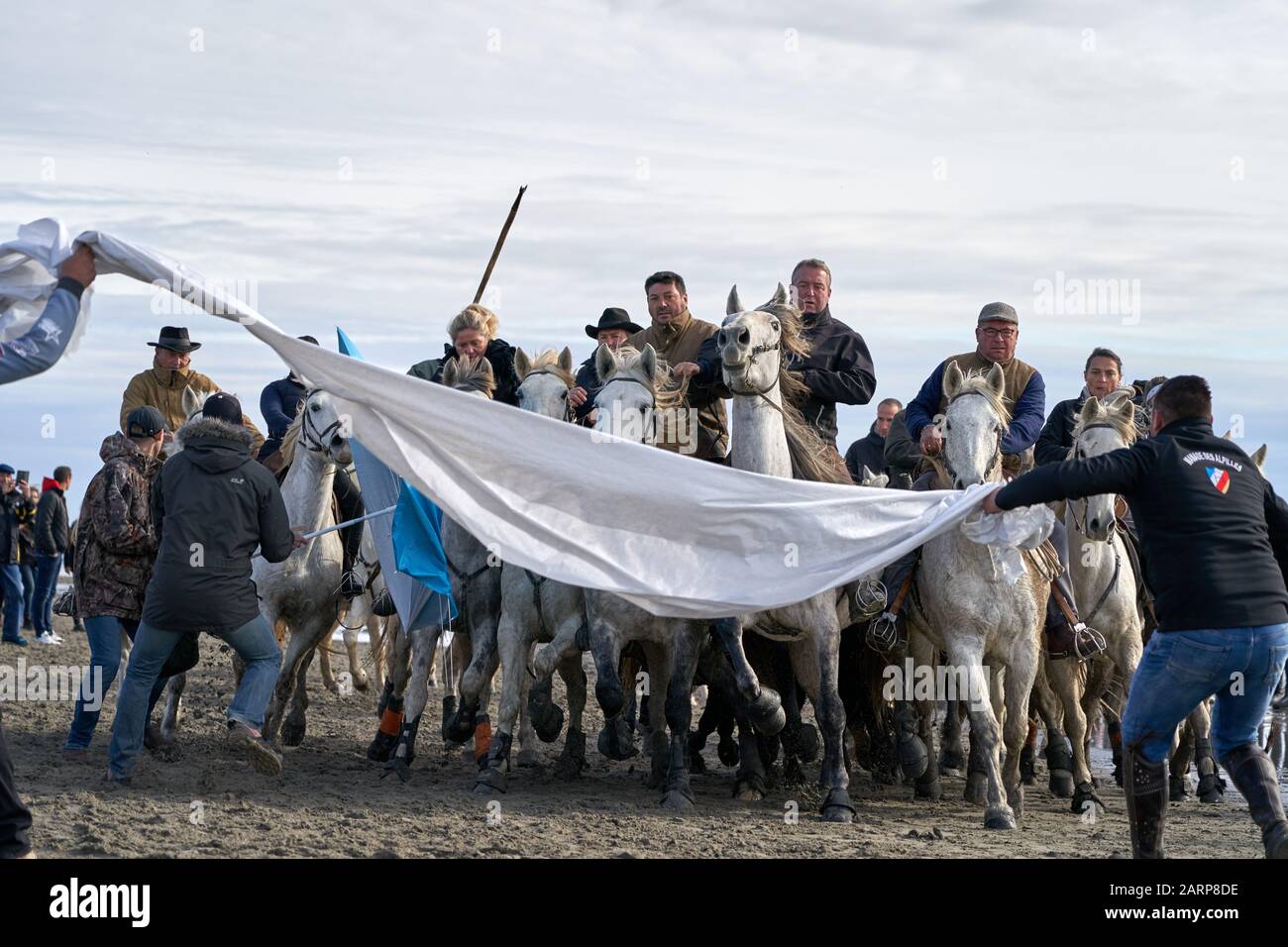 Running of the Bulls on the Beach Saintes marie de la mer Stockfoto
