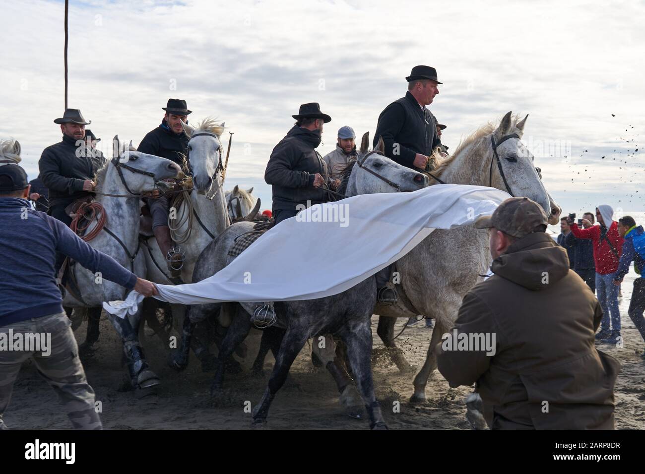 Running of the Bulls on the Beach Saintes marie de la mer Stockfoto