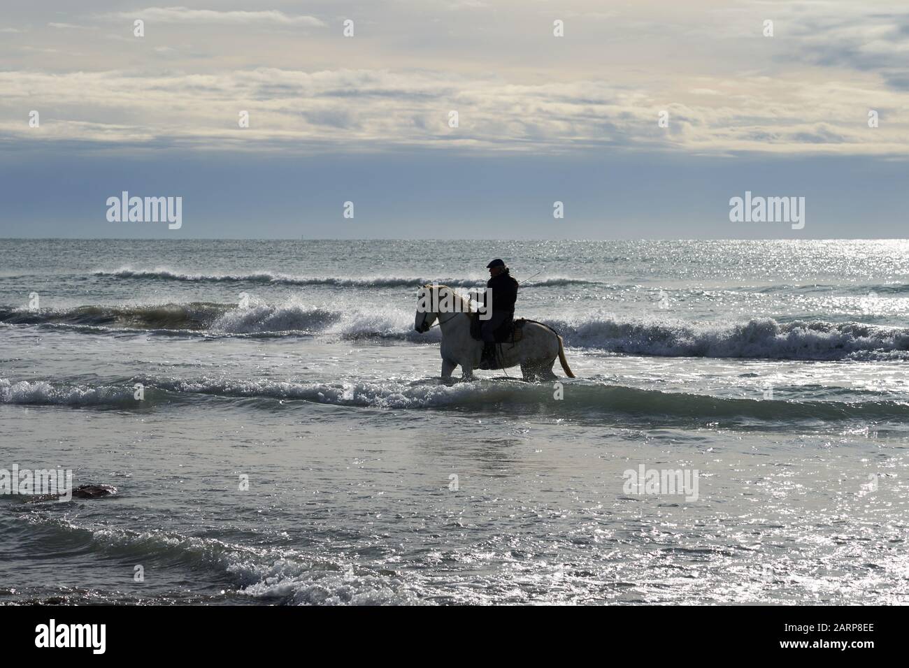 Running of the Bulls on the Beach Saintes marie de la mer Stockfoto