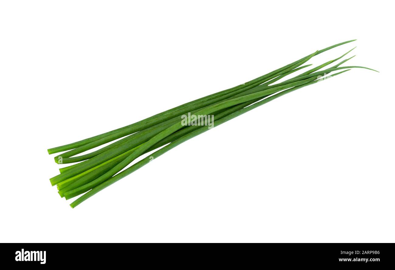 Grüner Zwiebelbund isoliert auf weißem Hintergrund. Frisches Zwiebelblatt. Schnittlauch. Stockfoto