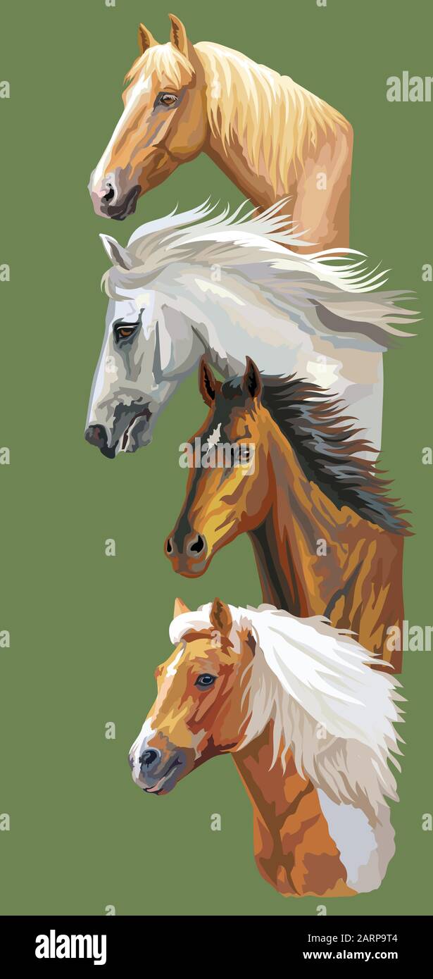 Vertikale Postkarte mit Laufpferden. Bunte vektorrealistische Porträts von Pferden im Profil. Gruppe von Pferden isoliert auf grünem Hintergrund. Vektor Stock Vektor