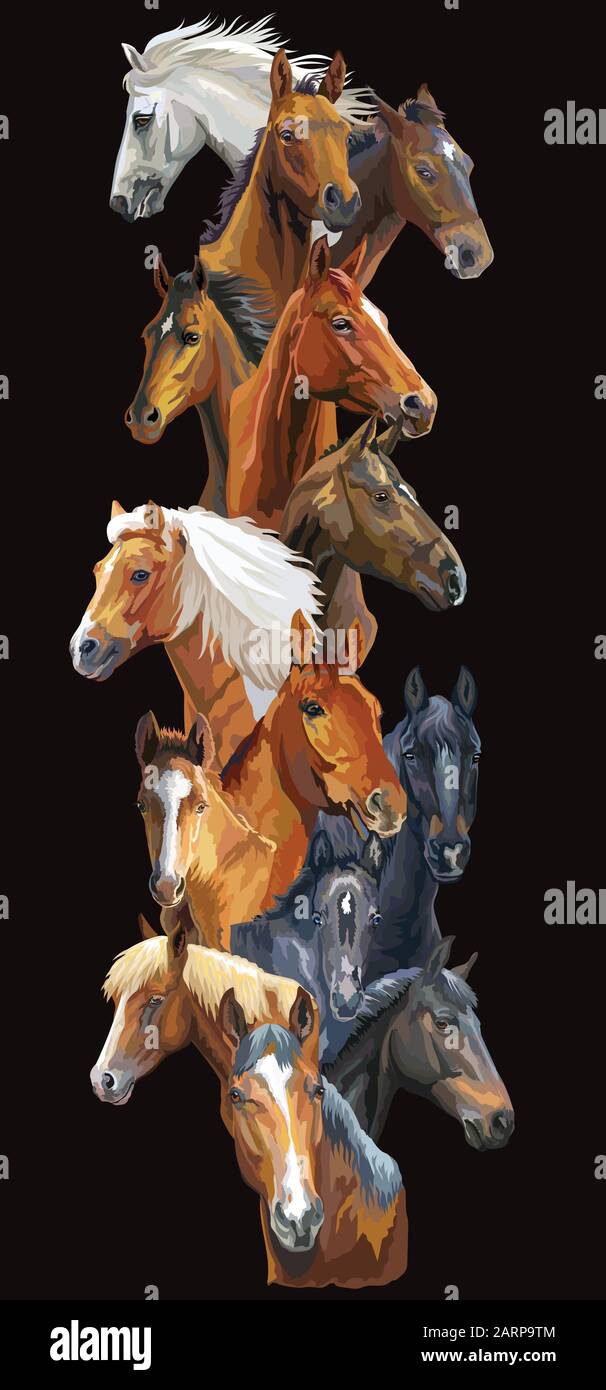 Vertikale Postkarte mit Pferden. Bunte vektorrealistische Porträts von Pferden. Große Gruppe von Pferden isoliert auf schwarzem Hintergrund. Vektor bunte illust Stock Vektor