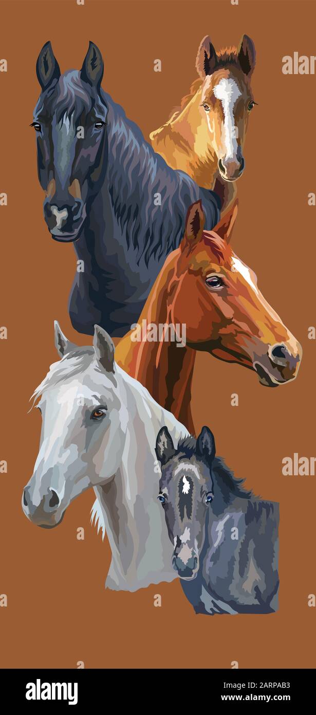 Vertikale Postkarte mit Pferden. Bunte vektorrealistische Porträts von Pferden. Gruppe von Pferden isoliert auf braunem Grund. Vektor bunt illustriert Stock Vektor