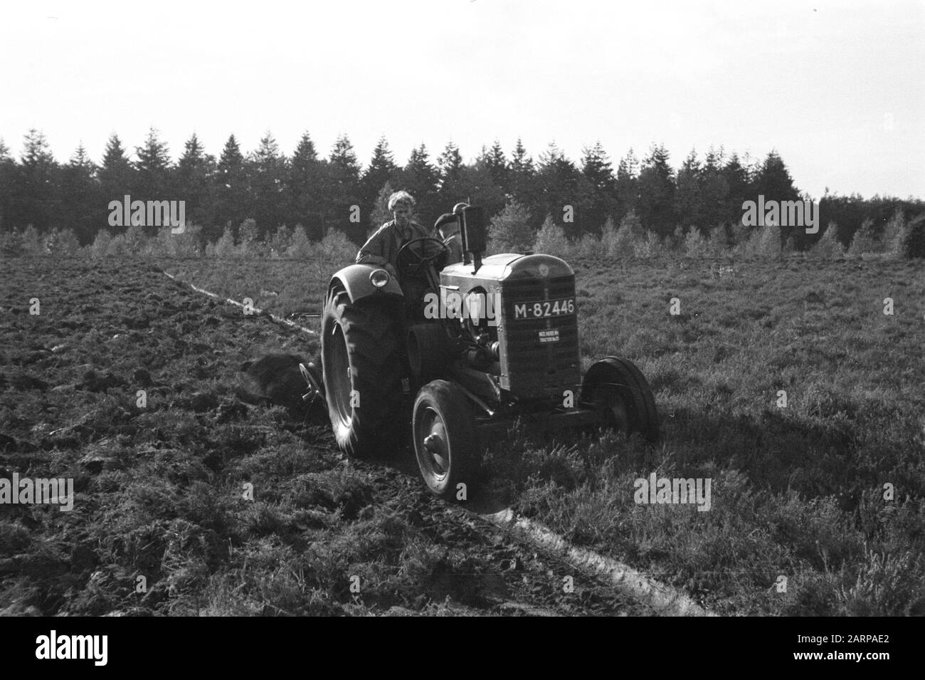 Gelände, Disk-Stoppelmannschaften, Traktoren, Arbeiter, Veluwe Hul Datum: Undatierter Ort: Wells Schlüsselwörter: Arbeiter, Disk-Stoppelploegen, Gelände, Traktoren persönlicher Name: Veluwe Hul Stockfoto