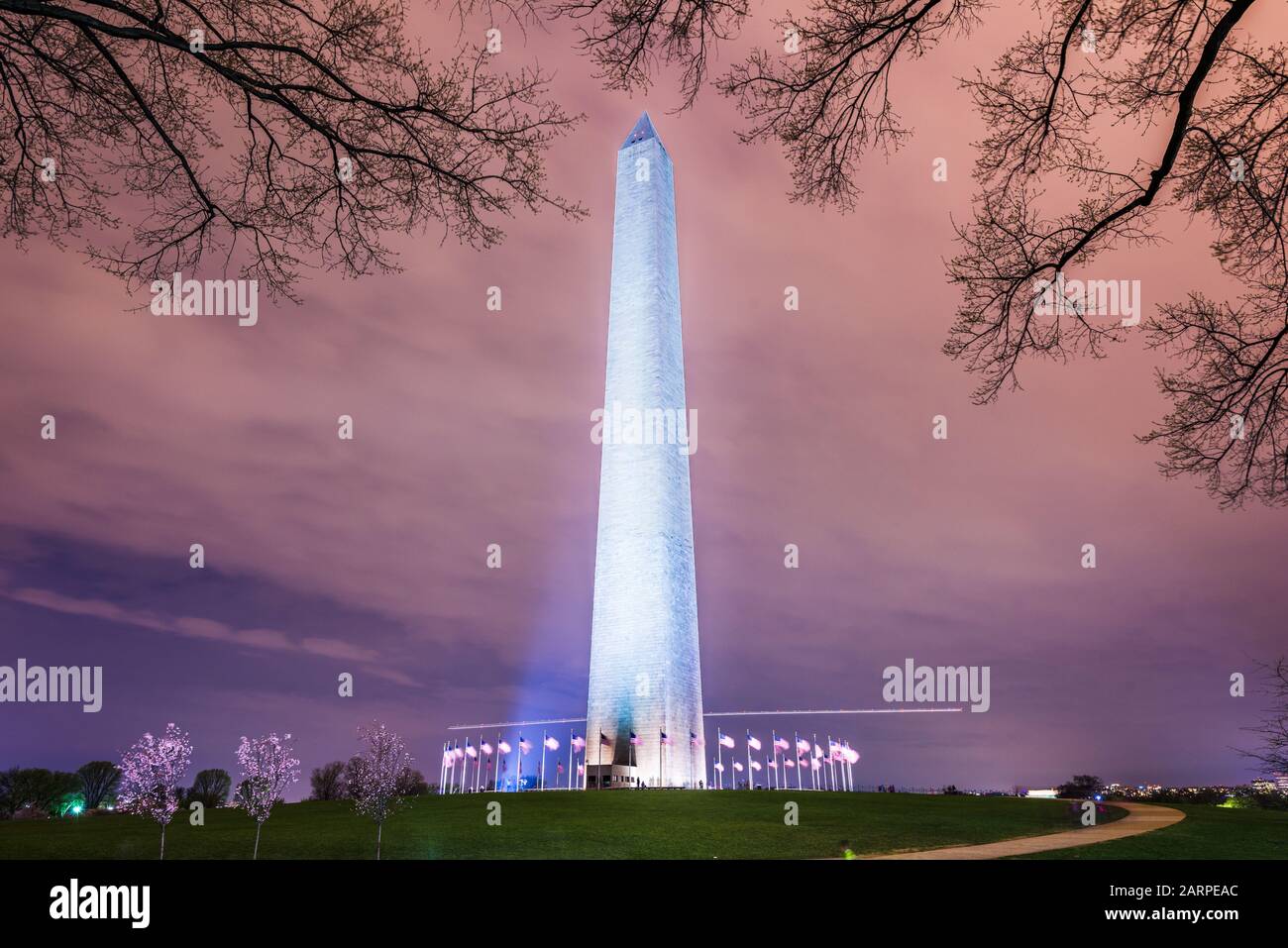 Washington Monument in Washington DC, USA in der Nacht. Stockfoto