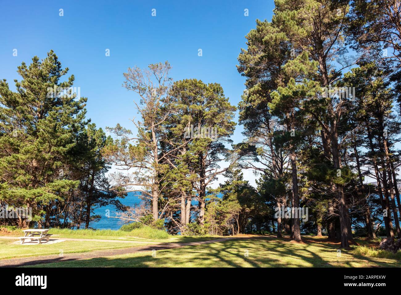 Malerischer Blick auf die Küste von Eden, NSW in Australien. Stockfoto