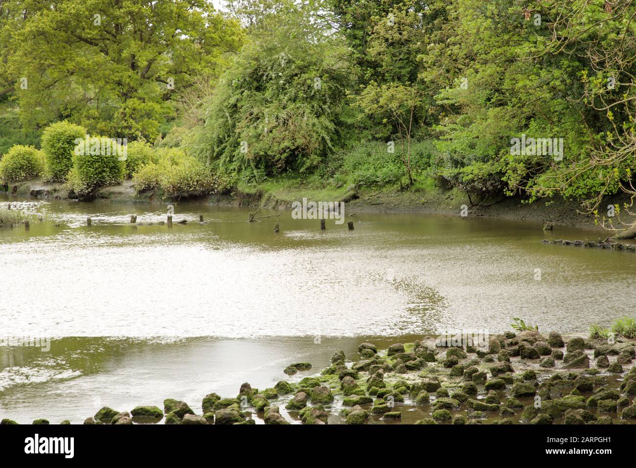 Landschaftsbild in essex england von einem Fluss Stockfoto