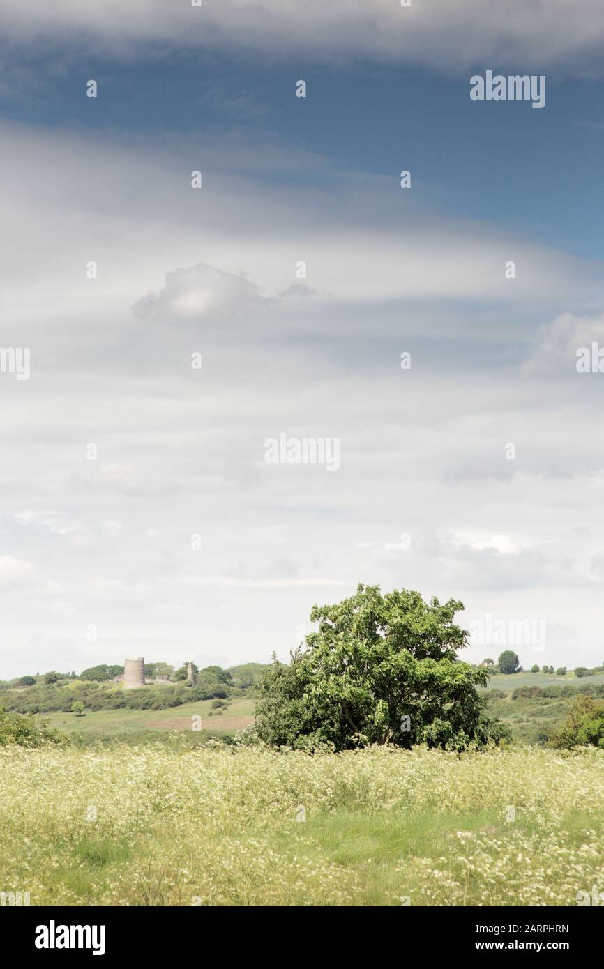 Grünes Fierd mit nahe hadleigh mit der zerstörten Burg im Hintergrund Stockfoto