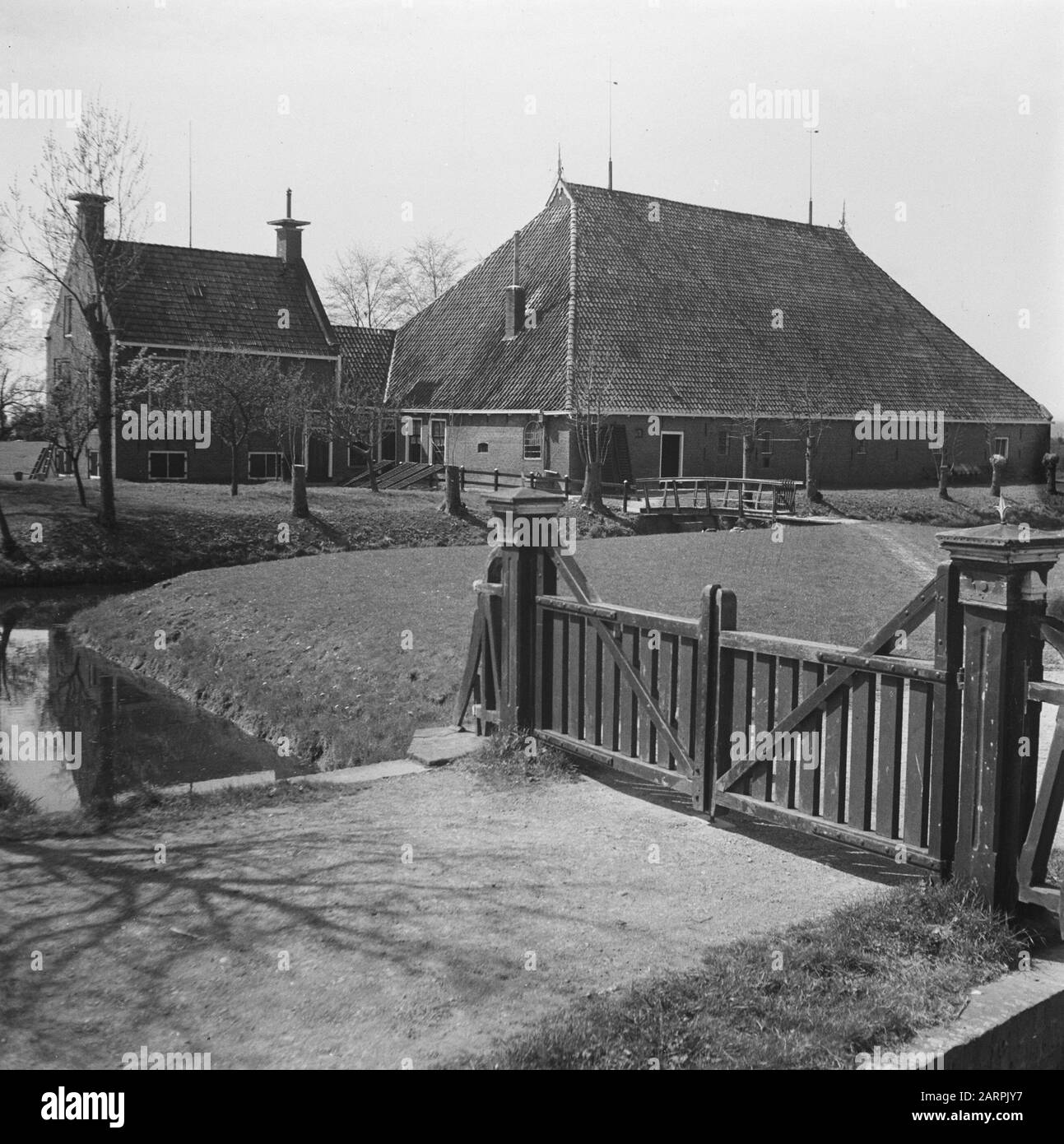 Friesischer Bauernhöfe Kop-Neck-Rumpfwohnungen Datum: 29. April 1946 Stichwörter: FARMESS Stockfoto