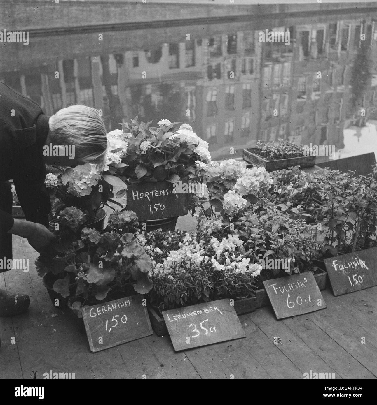 Was tut das Leben Datum: 10. Juli 1946 Schlüsselwörter: Leben Stockfoto