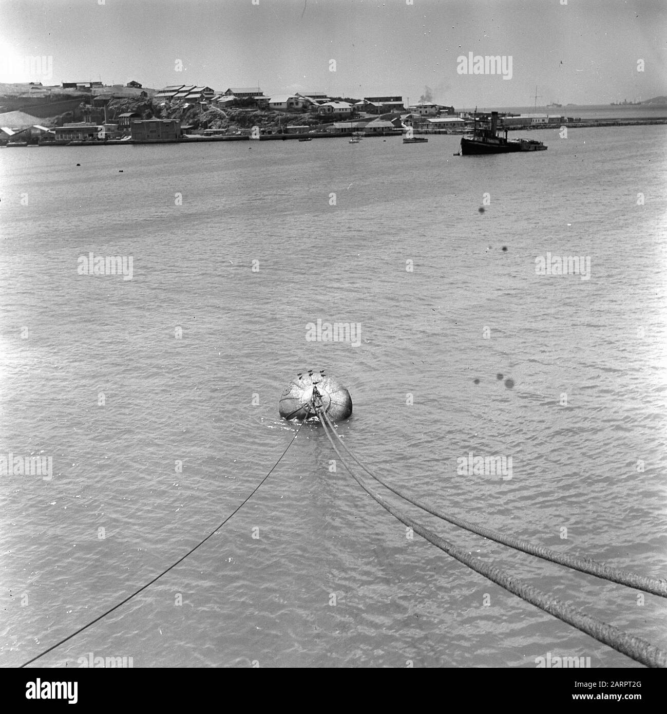 Fotos New Holland Datum: 23. März 1948 Ort: Holland Schlüsselwörter: Ziehen Stockfoto