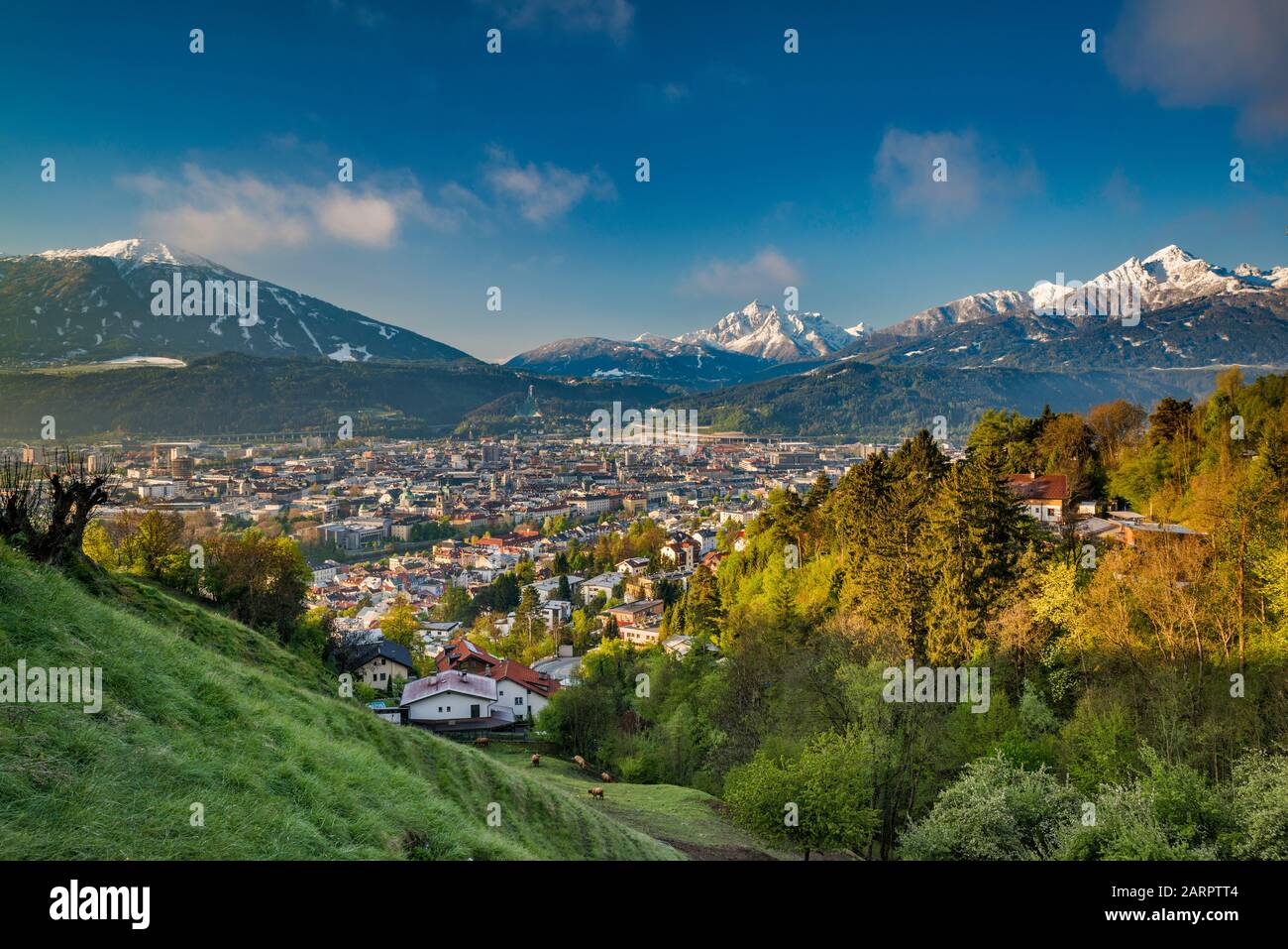 Blick auf das Zentrum von Innsbruck im unteren Inntal, vom Gasthof Olberg an der Hohenstraße, bei Sonnenaufgang, großes Loffler-Massiv in Zillertaler Alpen in der Ferne, Stockfoto