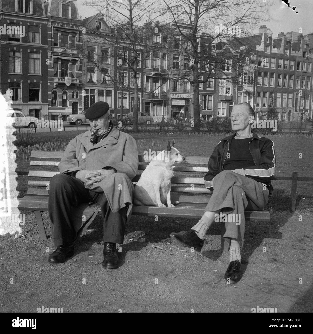 Frühlingsstimmung auf sonniger Bank Datum: 11. März 1957 Stockfoto