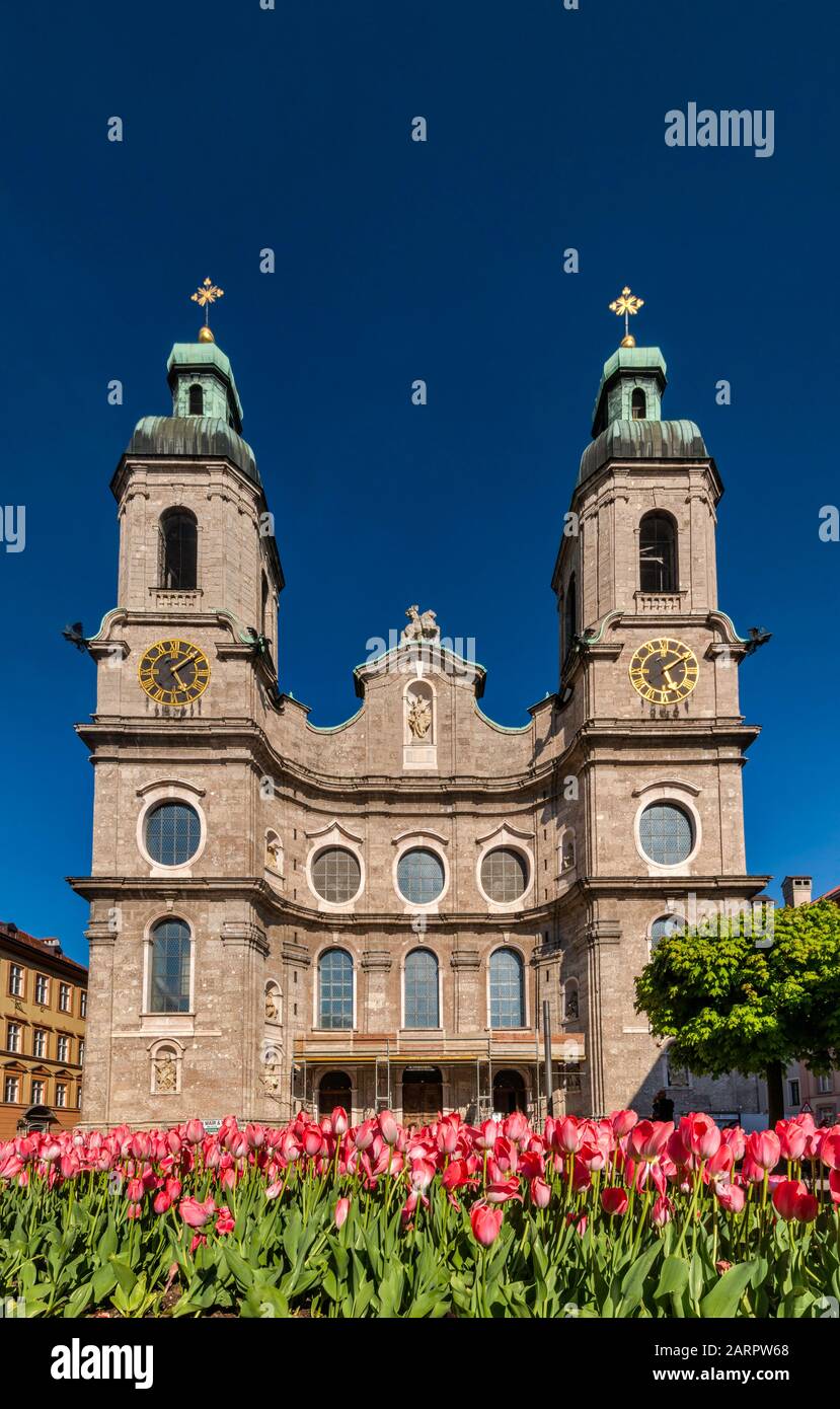 Tulpen in voller Blüte vor der Kathedrale von St. James (Dom zu St. Jakob), 1724, Barock, Altstadt in Innsbruck, Tirol, Österreich Stockfoto