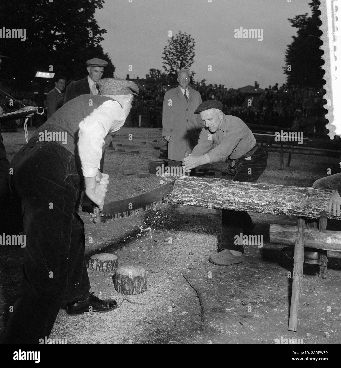 Wettbewerb in Fersen und Sägen in Nunspeet Datum: 29. Juli 1957 Ort: Nunspeet Schlüsselwörter: Wettbewerbe Stockfoto