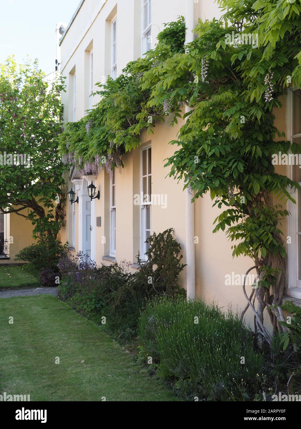 Ein elegantes Haus in Wimborne Minster, Dorset, Großbritannien, mit Wisteria, die an den Wänden wächst Stockfoto