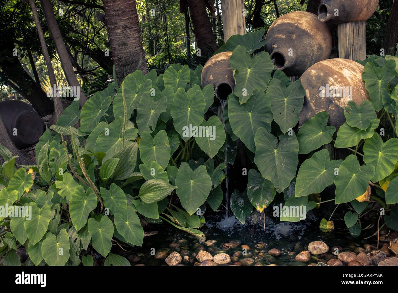 Verlässt einen Steinteich mit kleinem Wasserfall. Stockfoto