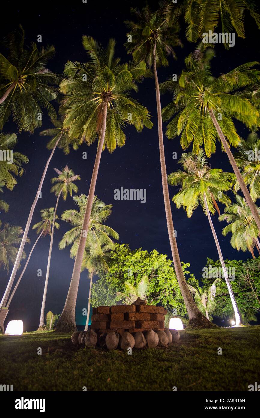 Kamin unter hellen Sternen und hohen Palmen Stockfoto