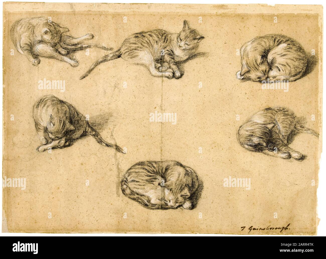 Thomas Gainsborough, Six Studies of a Cat, Drawing, ca. 1763-1767 Stockfoto