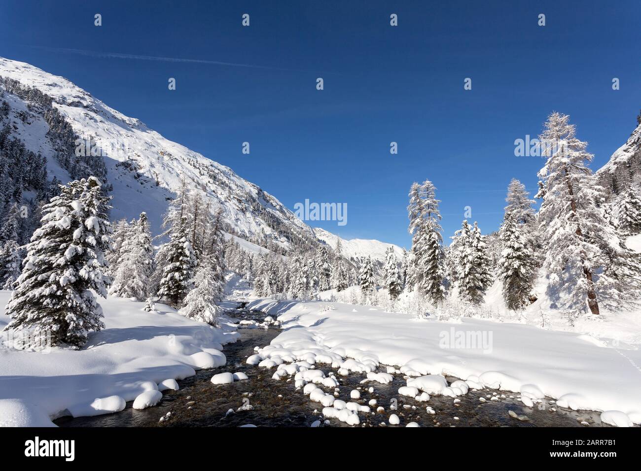 Blick auf das Rosegtal - Engadin - Schweiz Stockfoto