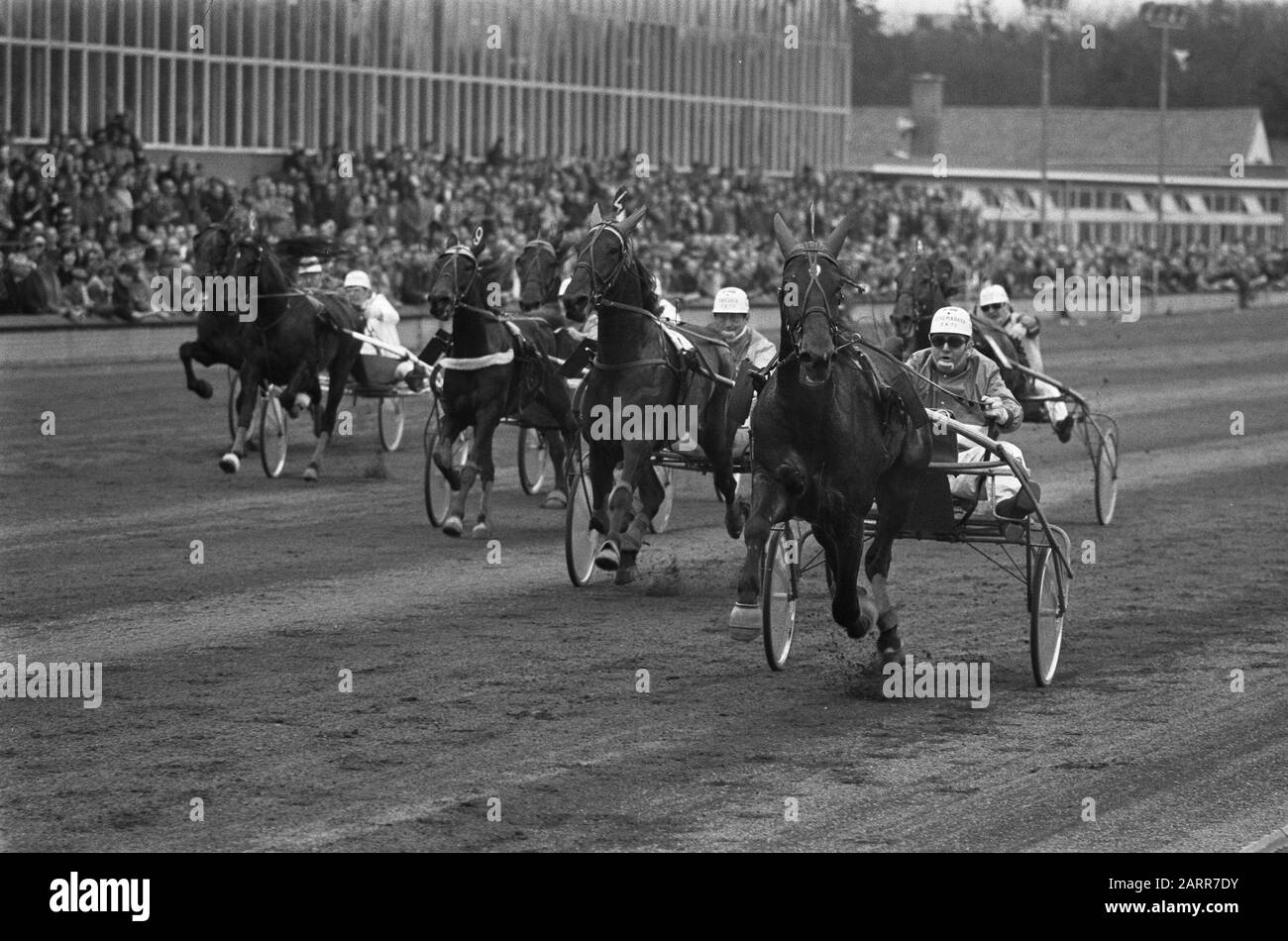 Driders Championship Pikeurs in Hilversum Datum: 18. März 1973 Ort: Hilversum Stichwörter: CHAMPITIES, PIKEERS Stockfoto