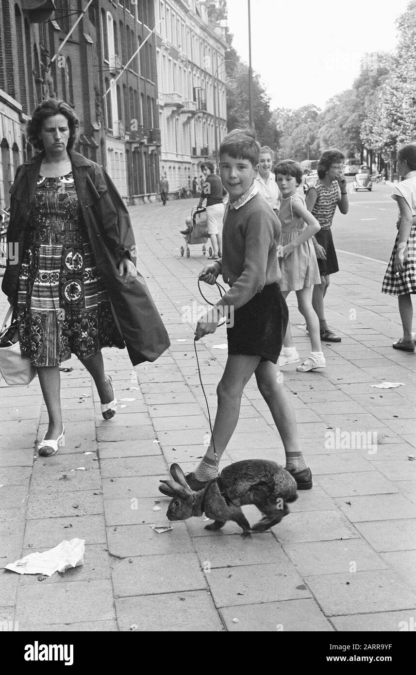 Ronald Melkman mit seinem Nibble (Kaninchen) Datum: 1. August 1962 Personenname: Kaninchen Stockfoto