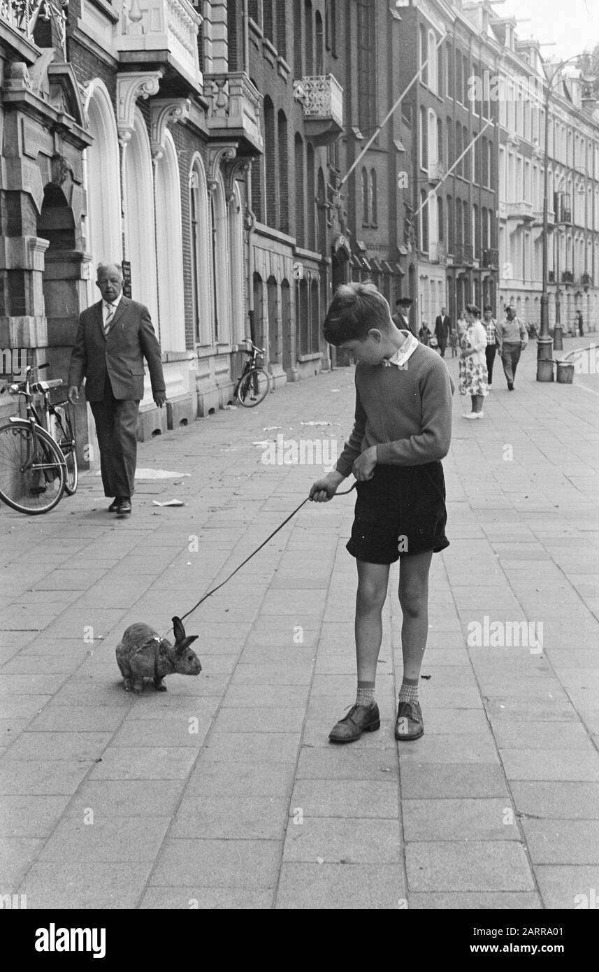 Ronald Melkman mit seinem Nibble (Kaninchen) Datum: 1. August 1962 Personenname: Kaninchen Stockfoto