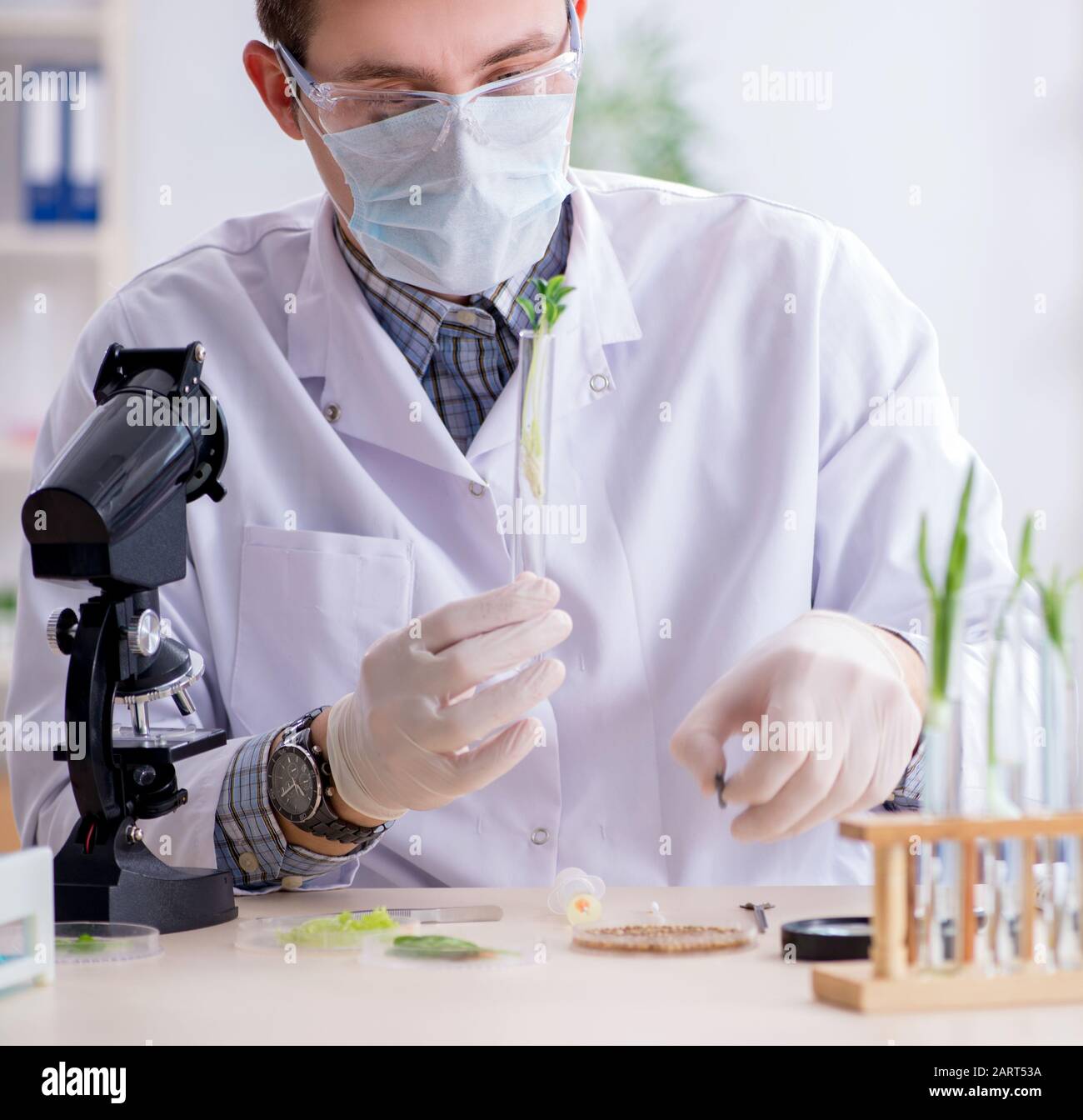 Die männlichen Biochemiker im Labor arbeiten an Pflanzen Stockfoto
