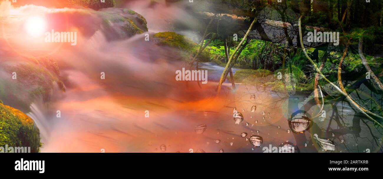 Fotomontage im Wald oder Wald mit Wasserlauf zur Meditation Stockfoto