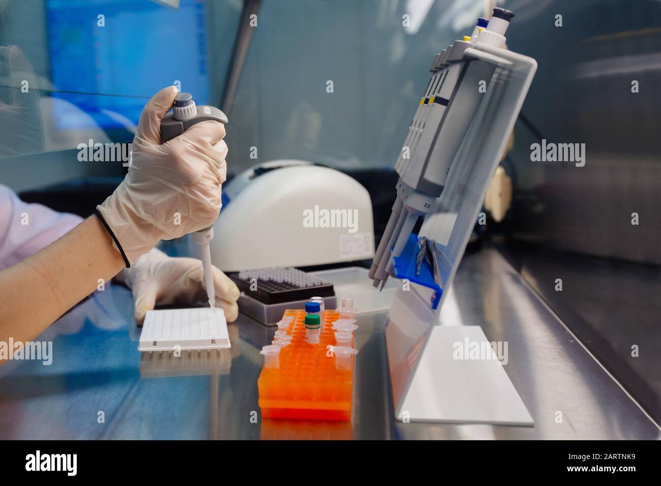 Wissenschaftler stellt Proben von DNA-Fragmenten für die Elektrophorese mit Pipette Stockfoto