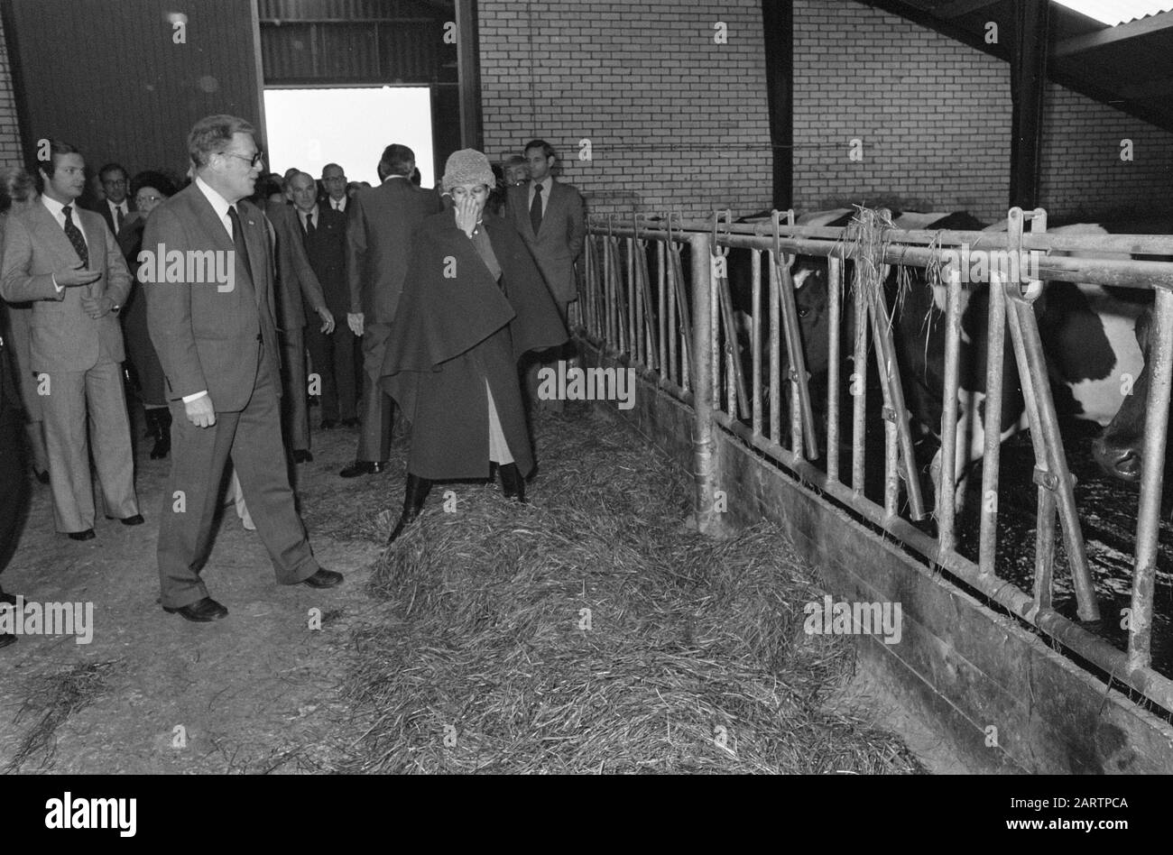 Staatsbesuch schwedisches Königspaar in den Niederlanden; Besuch der Rinderfarm Herr Zeistra. Führung in Betrieb Datum: 26. Oktober 1976 Stichwörter: Königliche Paare, Touren, Staatsbesuche persönlicher Name: Zeistra Stockfoto