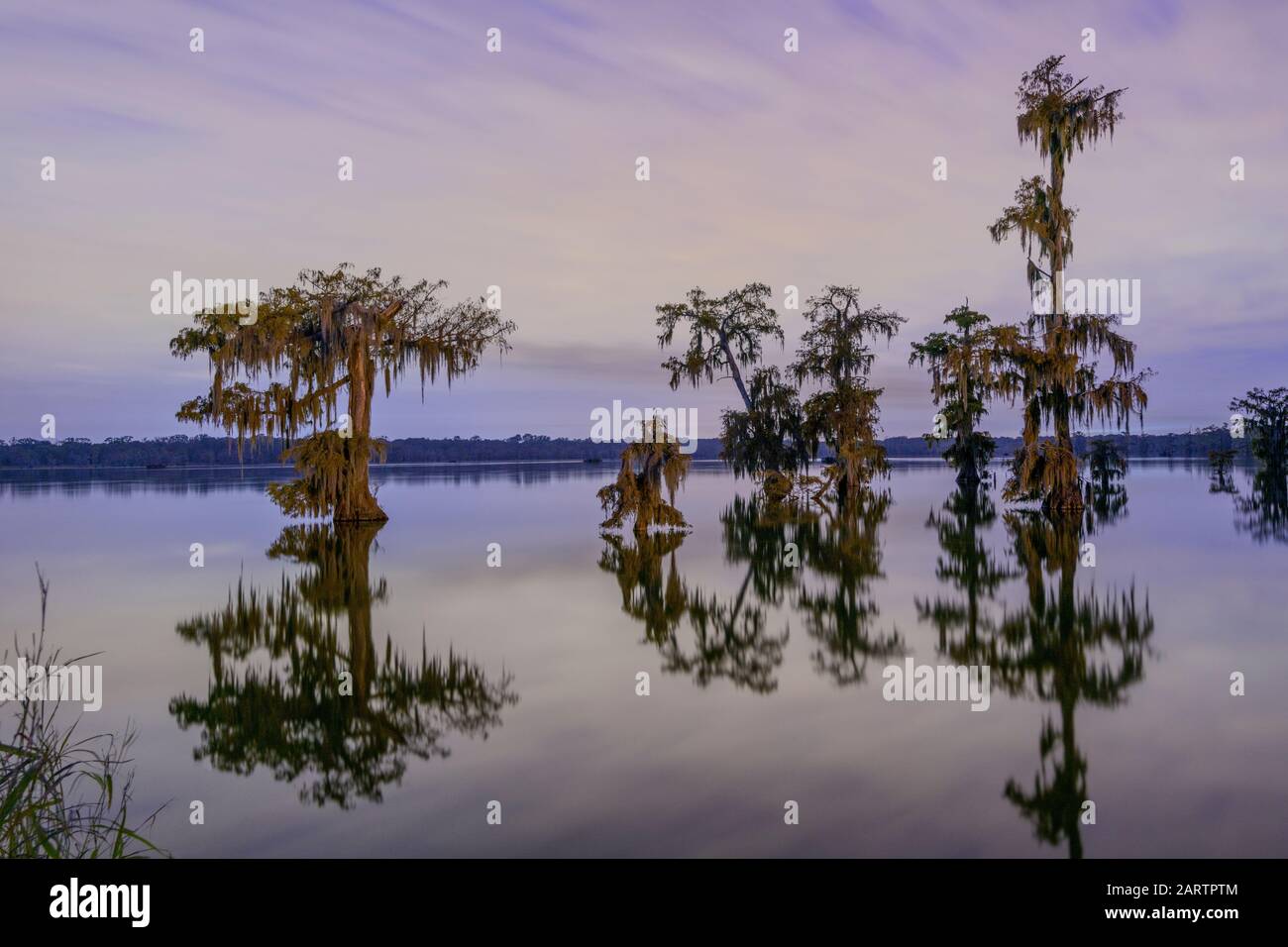 USA, Deep South, Louisiana, Lafayette, Lake Martin Stockfoto