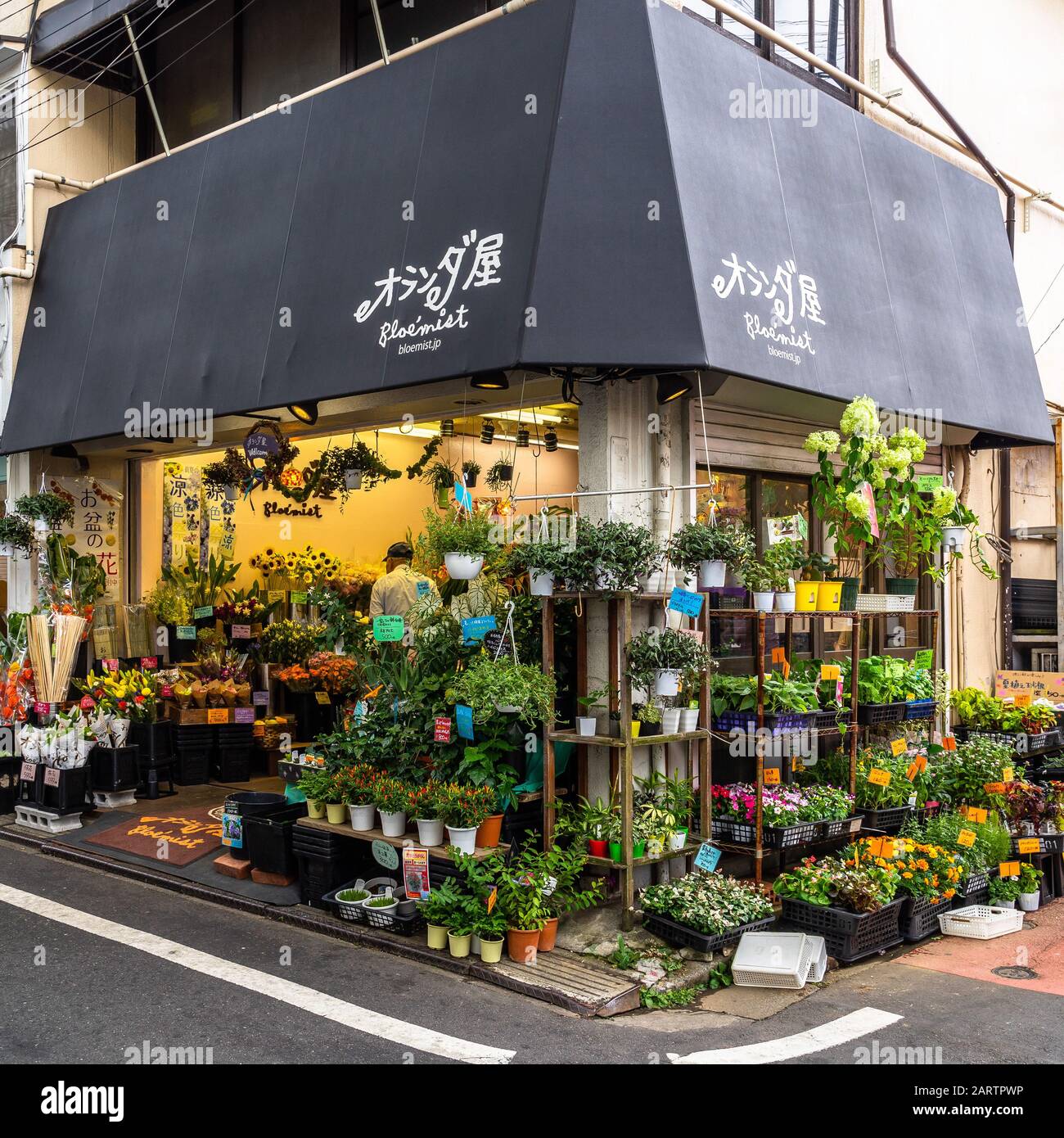 Tokio, Japan, August 2019 - EIN buntes Blumengeschäft in einer Straße von Setagaya. Stockfoto
