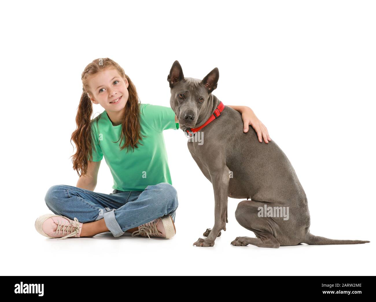 Kleines Mädchen mit niedlichem Hund auf weißem Hintergrund Stockfoto