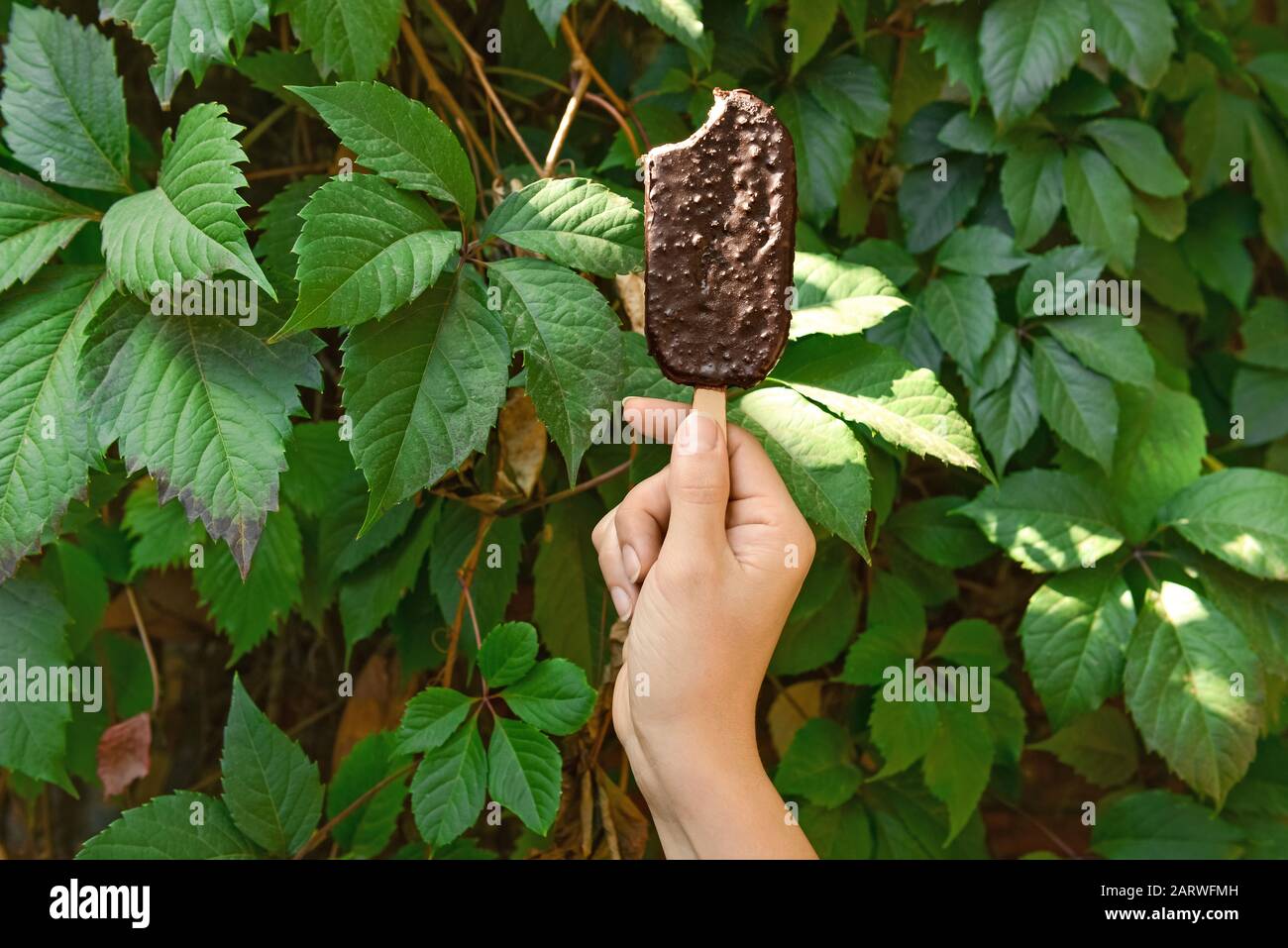 Weibliche Hand mit leckerer Eiscreme im Freien Stockfoto