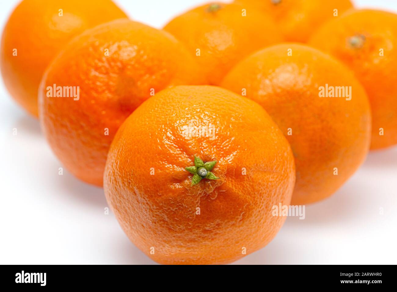 Horizontaler Nahschuss von sieben Tangerinen. Der vordere steht im Fokus, der Rest ist jedoch nicht im Fokus. Weißer Hintergrund. Kopierbereich. Stockfoto