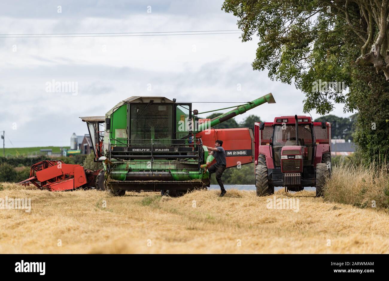 County Kerry, Irland - 11. August 2018: Combine Harvester baut Heu in der ländlichen Grafschaft Kerry Stockfoto