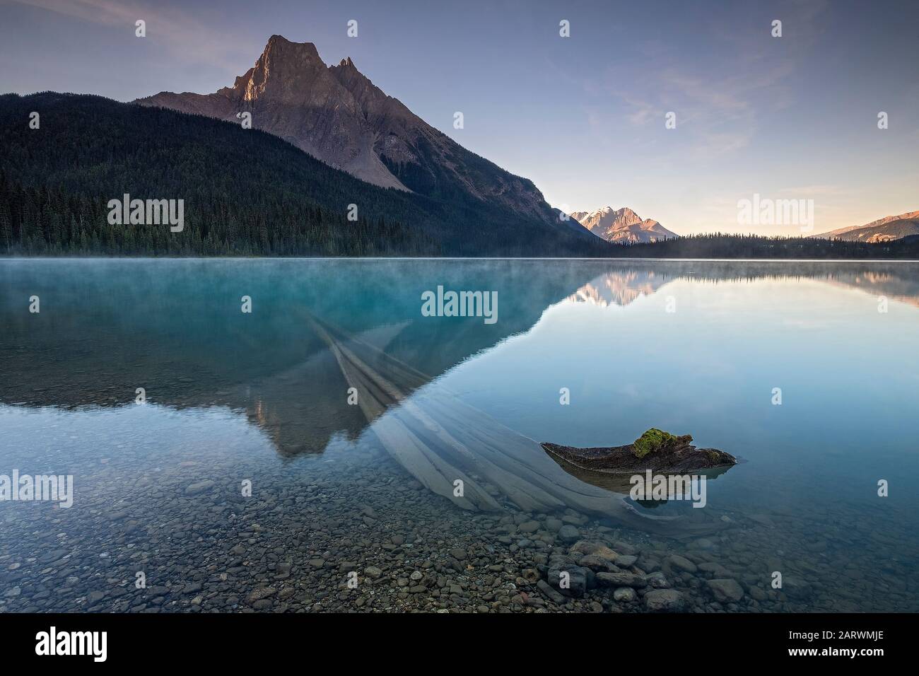 Morgennebel am Smaragdsee mit Unterstützung von Wapta Mountain, Yoho National Park, The Rockies, Alberta, Kanada Stockfoto